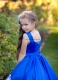 Royal Blue Holiday Dress